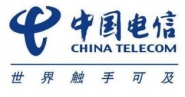 中国电信集团有限公司