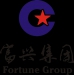湖南富兴集团有限公司