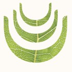 湖南德诺健康管理集团有限公司