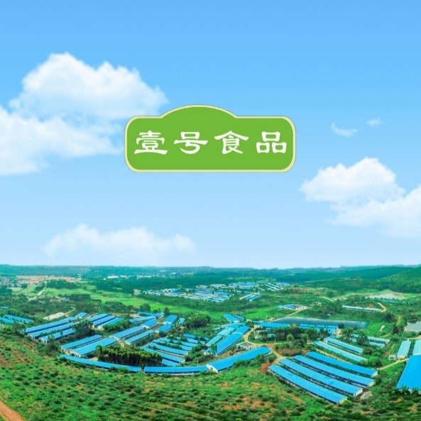 雷州壹号食品有限公司