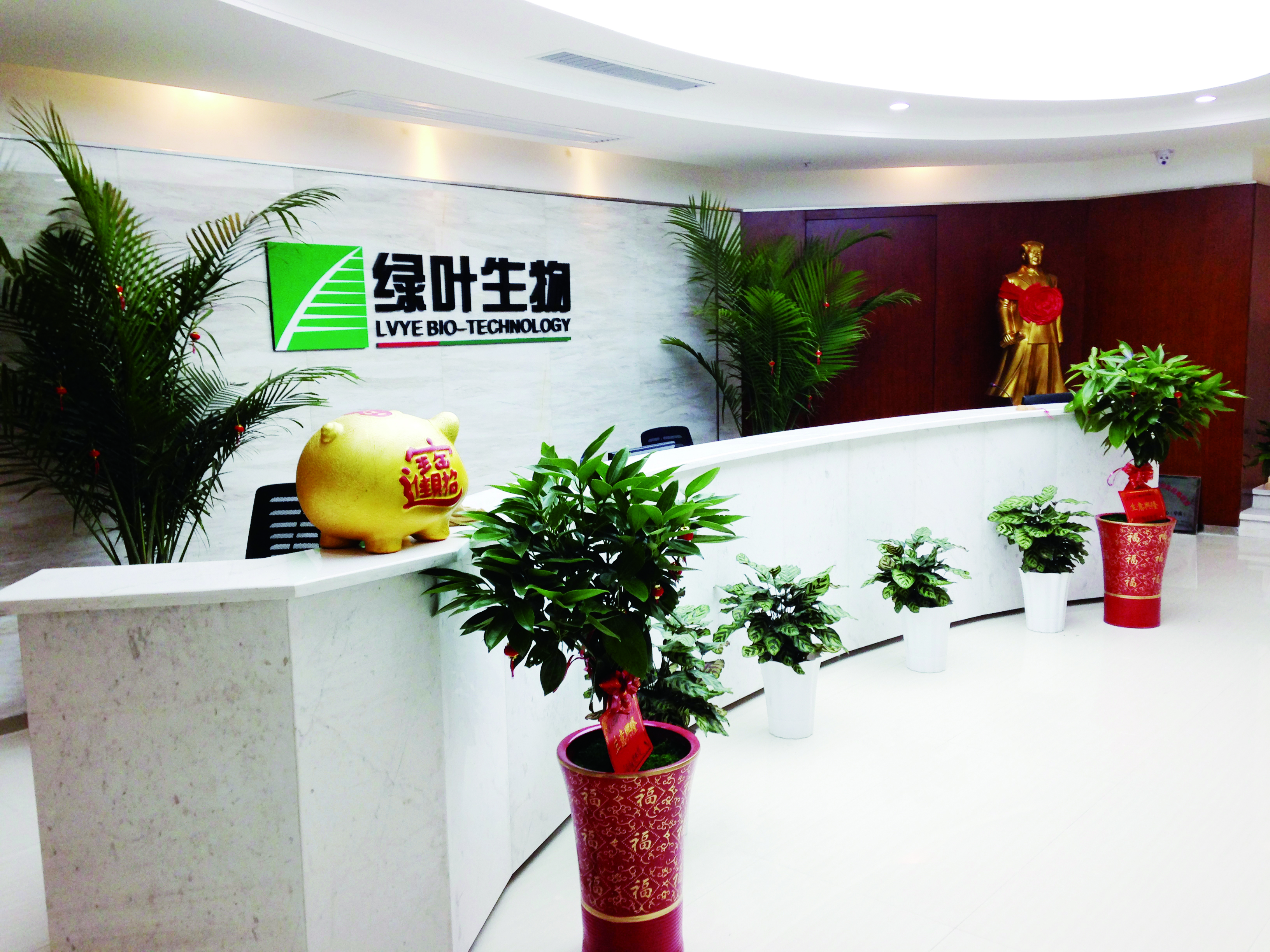 绿叶总部前台