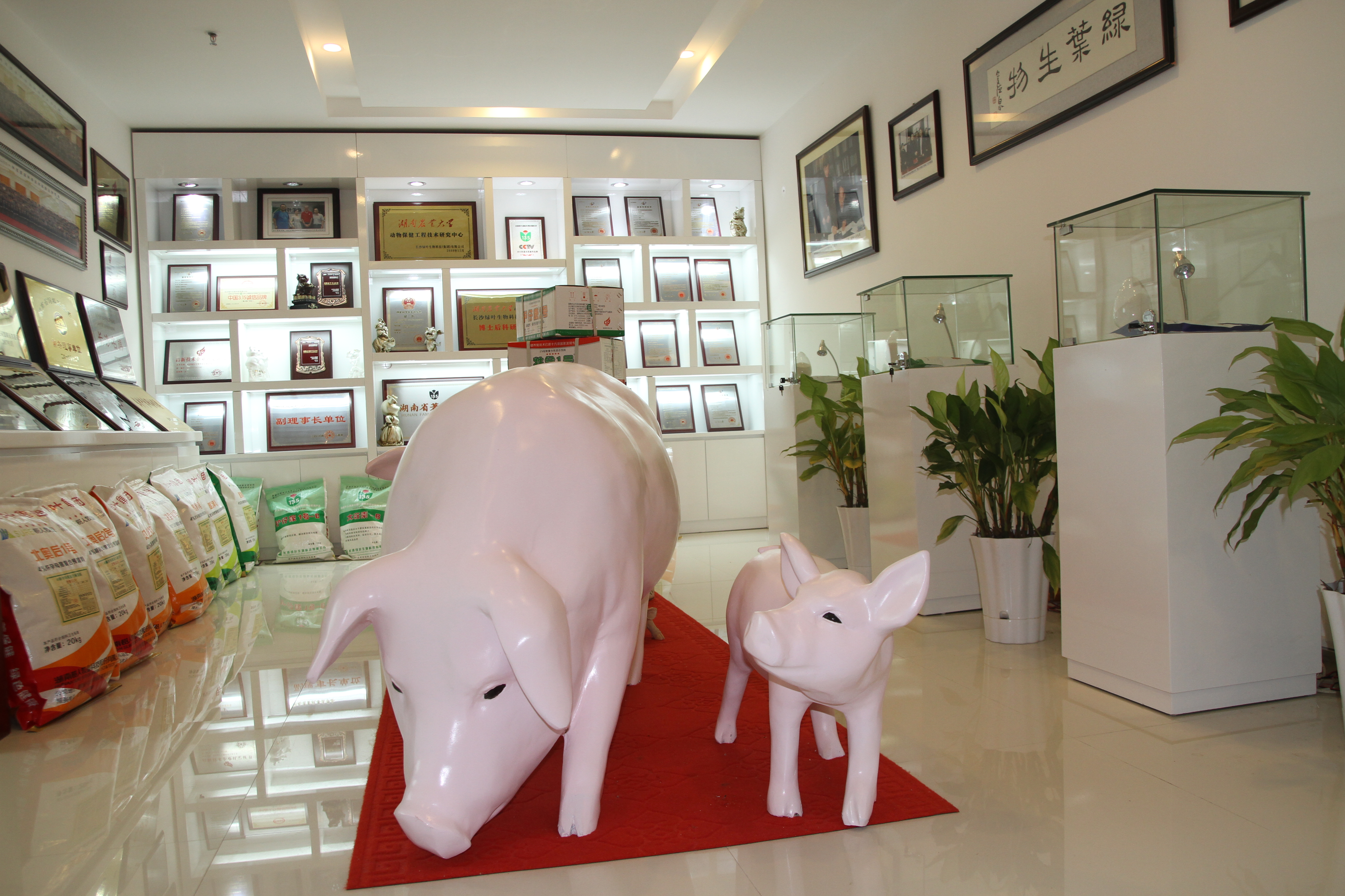 公司展厅