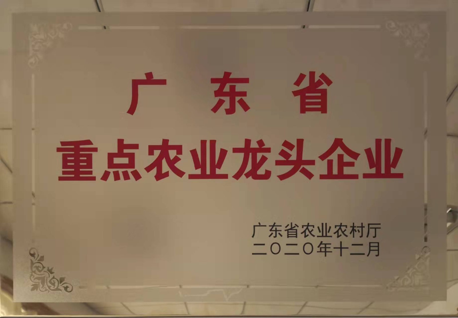 广东省重点农业龙头企业.jpg