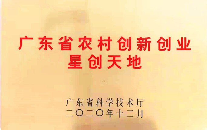 星创天地.jpg