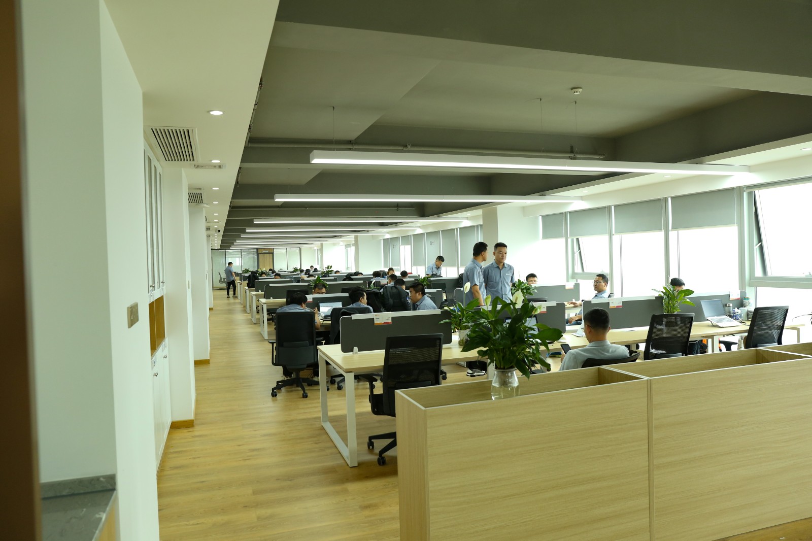 EB2A3106(1).jpg